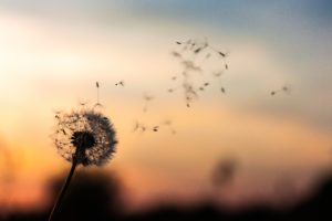 Dawid Zawila Zb2vbahyb2i Unsplash (1) Dawid Zawila Zb2vbahyb2i Unsplash (1)