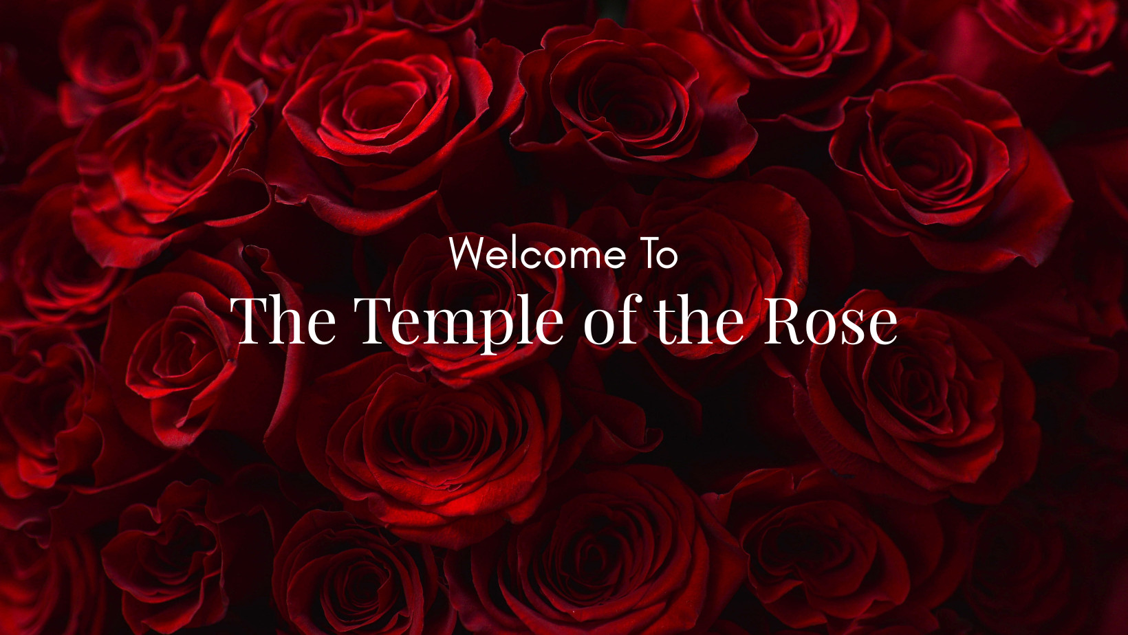 Welcome To
