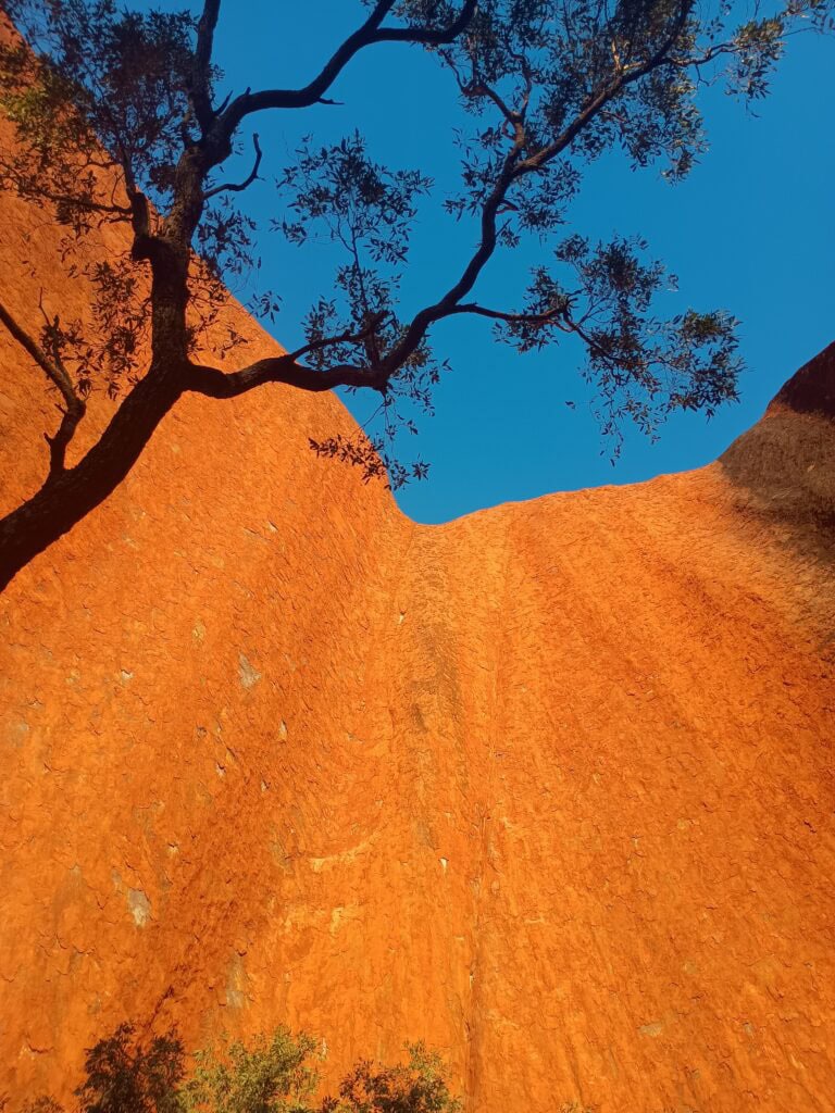 Img 20250922 181820346